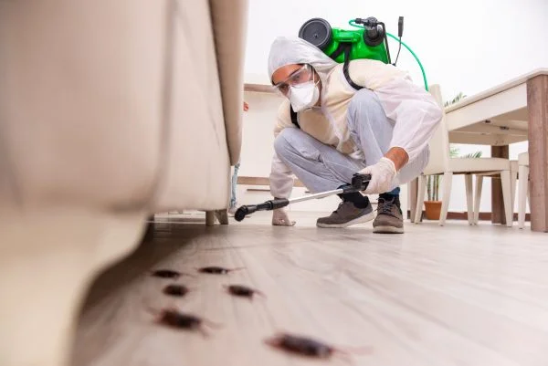 Professional Pest Control Services in Carrollton, TX: Protecting Your Home and Health